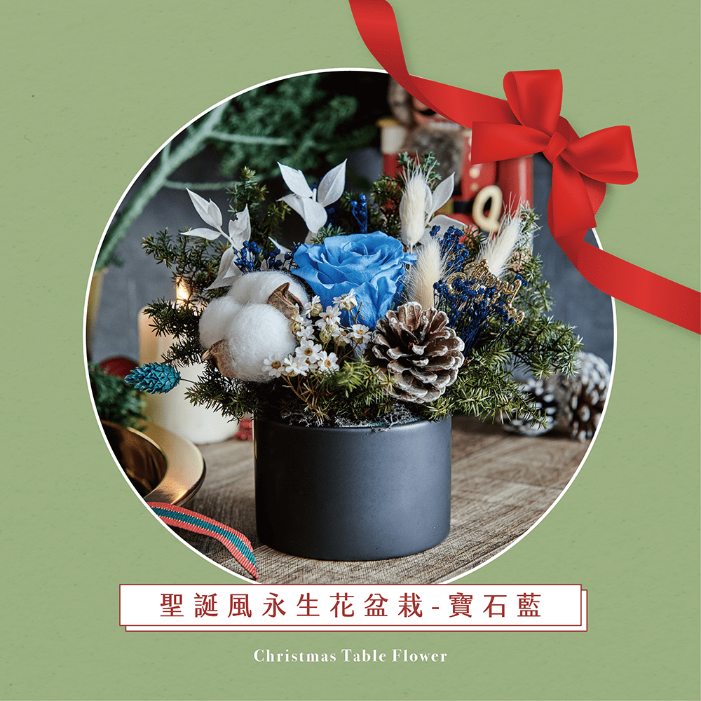 聖誕風永生花盆栽-寶石藍